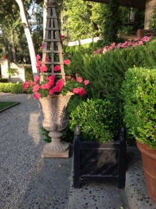 The tidy look of pea gravel in the areas of my garden.