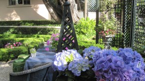 Hydrangeas also bring a wonderful pop of color but they are not as hardy.