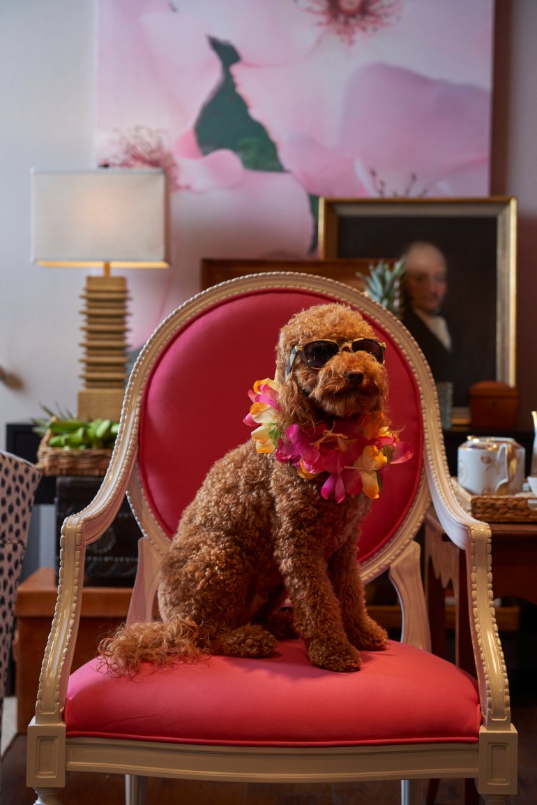 Island_Style_Vignettes_002