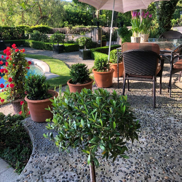 image_2C32D109-1FE9-4704-B9E2-65BD75567022.369DEBAC-ECF3-4E2E-B1E7-F53E552FCF4F