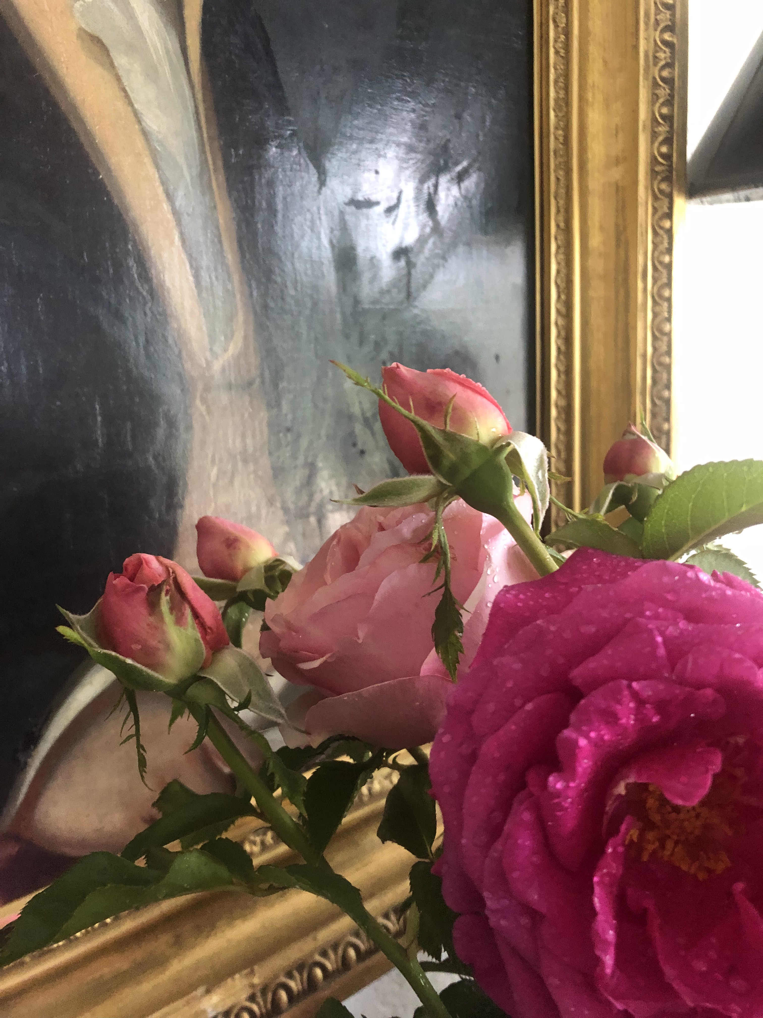 Rose Ruggeiro Beautiful Roses From Our Garden! – Joe Ruggiero at Home